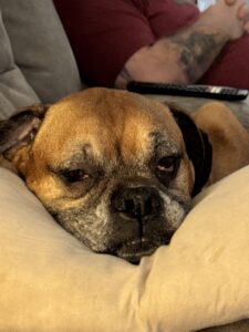 Update on Dozer...