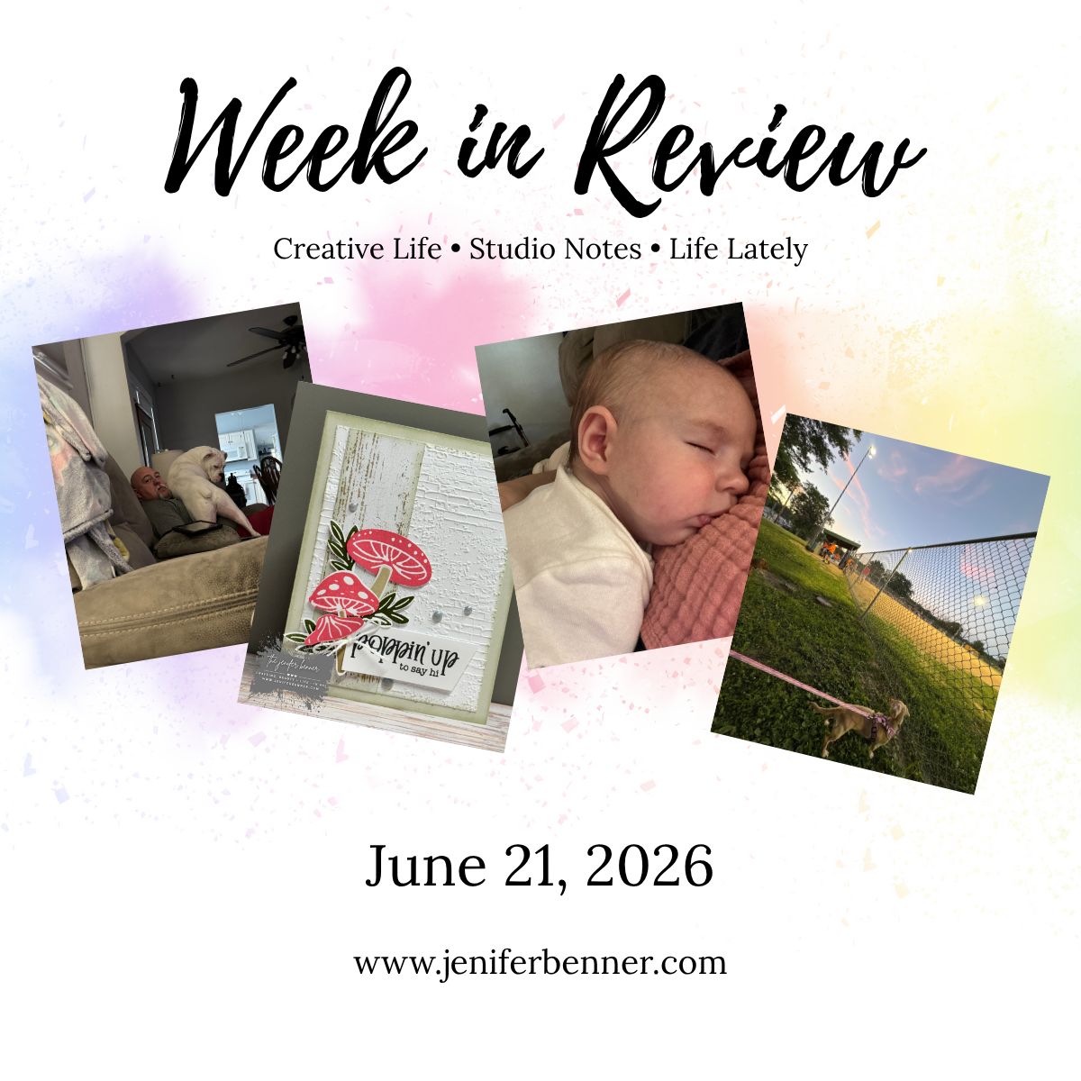 Week in Review: Life, Studio Notes & More | June 21, 2026